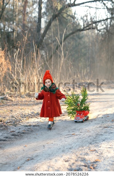 Сhild in a hat and coat carries a toy car with a\
small Christmas tree in the trailer, cut down in the forest for the\
new year. A two-year-old cute girl drives a truck along a path in\
the woods. xmas