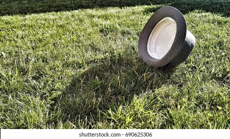 Hat in a grass