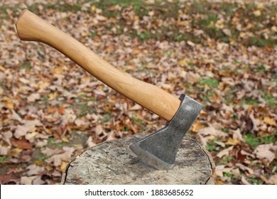 Hatchet stuck into a splitting block surrounded  by leaves