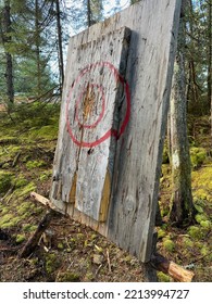 Hatchet Target In The Forest