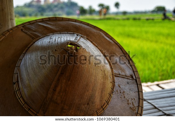 rice paddy hard hat