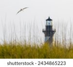 Hatteras Island Lighthouse Behind the Dunes