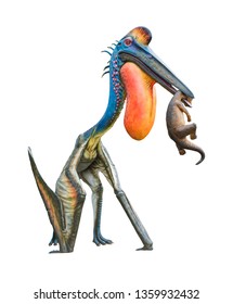 Hatzegopteryx Eating Baby Titanosaurus, Hatzegopteryx Is A Carnivore Genus Of Azhdarchid Pterosaur And Lived During The Late Of Maastrichtian, Isolated On White Background With Clipping Path