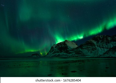 Hauklandbeach, Lofoten / Norway - March 7th 2019: huge northern lights / aurora outbreak over fjord at hauklandbeach near Leknes. lights dazzled green, white over mountains of fjord Vikbukta