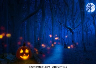 haunted forest at blue moon halloween night, jack o lantern with spooky lights like specters between knobby trees, invitation card concept with copy space - Powered by Shutterstock