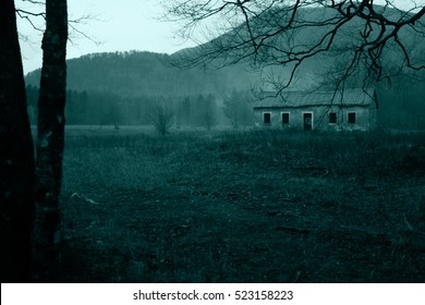 Haunted House In The Eerie Forest