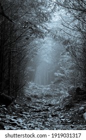 Haunted Trail Roan Mountain Tennessee