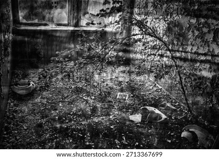 Haunting echoes of memory through abandoned places and shadows