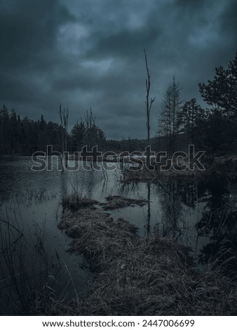 A hauntingly beautiful swamp under a moody, cloudy sky. The murky waters and tangled vegetation create an air of mystery and intrigue in this natural landscape. 
