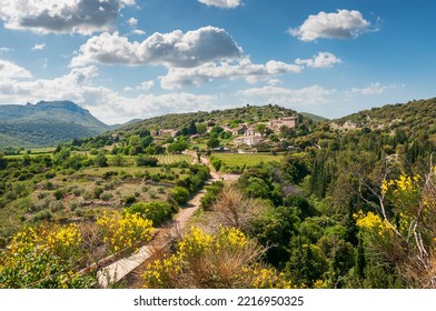 Haut Languedoc Countryside In Spring, In Hérault, Occitanie, France