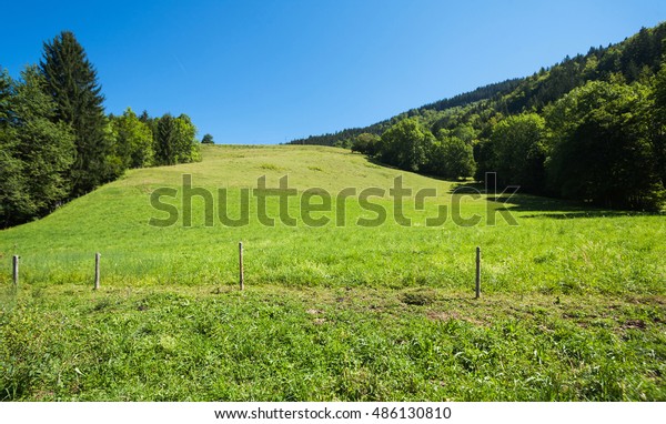 Haute Savoie Garden Hill Electric Fence Stock Photo Edit Now