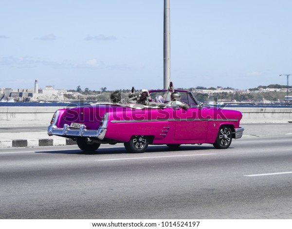 Havana, Cuba, 02.23.2017: a pink vintage\
cabriolet car driving along the\
Malecon.