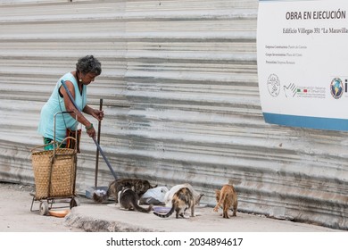 Havana, Cuba 3_31_2018  Old Black Woman Cleaning And Helping Cats In Old Havana