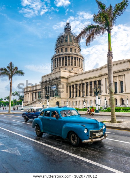 HAVANA, CUBA. June 2016: Old classic American\
historical car rides in front of the Capitol. Before a new law\
issued on October 2011, Cubans could only trade cars that were on\
the road before 1959.