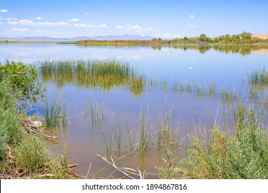 Havasu Lake National Wildlife Refuge In Arizona, USA