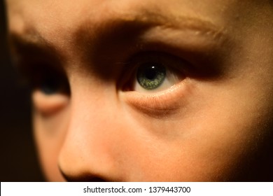 I Have Bad Eyesight. Oculist Prescribe Corrective Lens. Little Boy With Poor Eye Sight. Small Boy Wear Contact Lens. Eyesight Checkup At Oculist. Childhood Health Care. Keep An Eye On Your Health.