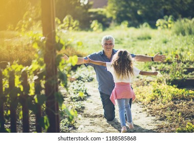 I Have Hug For You. Granddaughter Running In Hug To Her Grandfather. Copy Space. Focus On Senior Man.