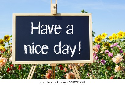 Have A Nice Day !