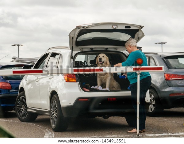 Havenplein, Netherlands - Aug 18, 2018: Senior woman\
with dog in SUV car trunk waiting for the boarding on ferry boat in\
the TESO Ferry Port