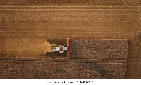 Havesting wheat with Claas in Germany