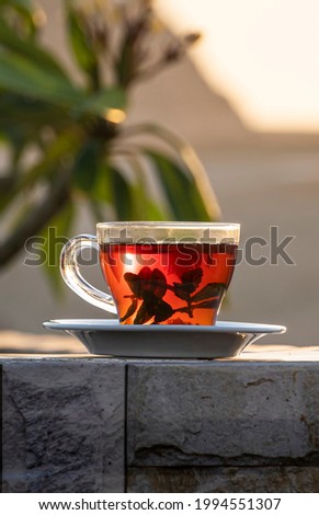 Having mint tea at an cafe while contemplating the impressive three pyramids of Giza. Transparent glass mug with black tea and mint on the background of the Egyptian pyramids.