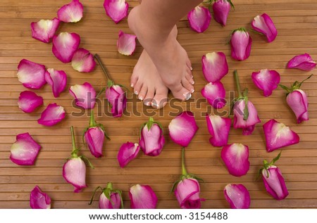 Having spa treatment (pedicured feet surrounded by bright pink roses)