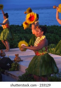 Hawaian Luau Dancers