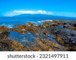 Hawaii coast tidepools - Maui