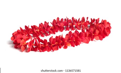 Hawaii flowers lei necklace made from  fresh orchid flower, single red mokara orchid.