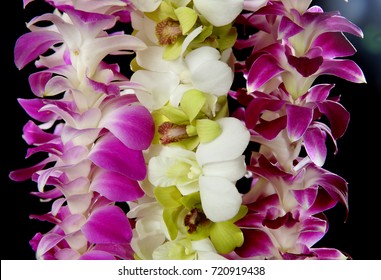 Hawaii Flowers Lei Necklace Made From Orchid Flower On Black Background