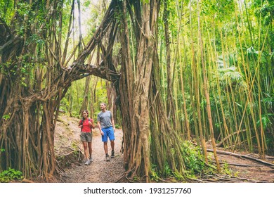 Hawaii hike hikers walking in lush rainforest trekking and hiking amongst banyan trees and bamboos, Oahu Travel. Couple tourists happy in nature.
