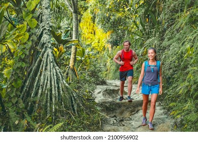 Hawaii hiking hikers on Kalalau trail hike walking in rainforest with tropical trees. Tourists couple with backpacks walking outdoor in Kauai island. Summer travel adventure active lifestyle.