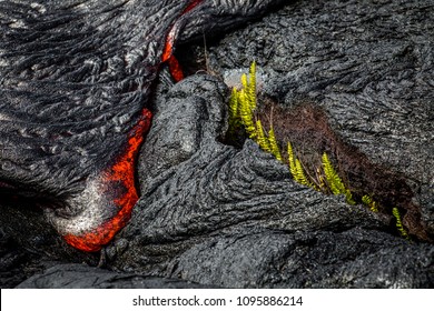 Hawaii Lava Flow On The Big Island