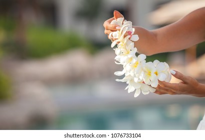 Hawaii Woman Showing Flower Lei Garland Of White Plumeria Flowers.