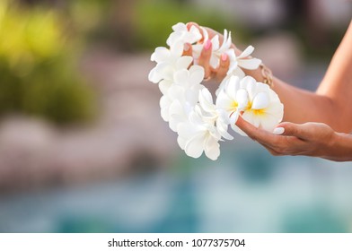 Hawaii Woman Showing Flower Lei Garland Of White Plumeria Flowers.