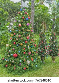 Hawaiian Christmas Trees With Tropical Plants And Trees In The Background.