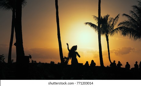 Hawaiian Luau Dancer