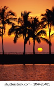 Hawaiian palm tree sunset on Big Island