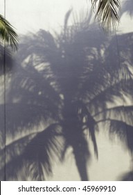 Hawaiian Wall Shadow Coconut Palm On Stock Photo 45969910 | Shutterstock