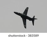 Hawk at Kemble