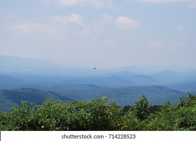 Hawk Over Ouachita Mountains, Arkansas