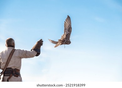 Hawk releasing a bird of prey into the sky, demonstrating traditional falconry in action against a clear blue backdrop - Powered by Shutterstock