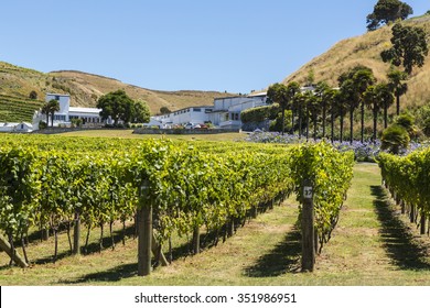 HAWKES BAY, NORTH ISLAND/NEW ZEALAND - JANUARY 25, 2015: Esk Valley Winery And Vineyard. Hawke's Bay Is The Oldest Wine Region In NZ And The 2nd Largest.