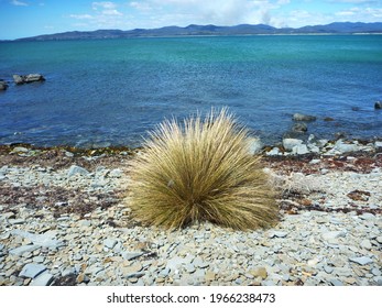 The Hawley Beach Near Devonport Tasmania , Australia .