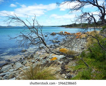 The Hawley Beach Near Devonport Tasmania , Australia .