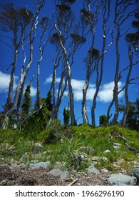 The Hawley Beach Near Devonport Tasmania , Australia .