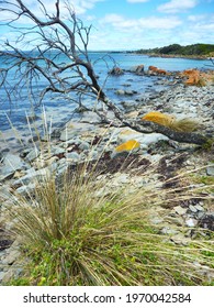 The Hawley Beach Near Devonport Tasmania , Australia .