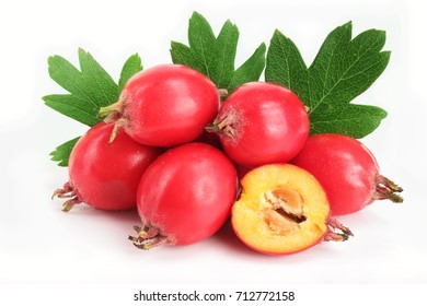 Hawthorn Berry With Leaf Isolated On White Background Close-up