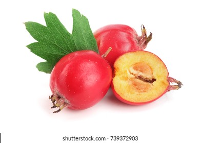 Hawthorn Berry With Leaf Isolated On White Background Close-up