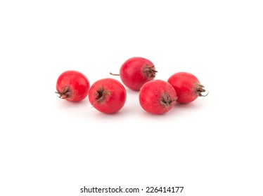 Hawthorn Isolated On White Background